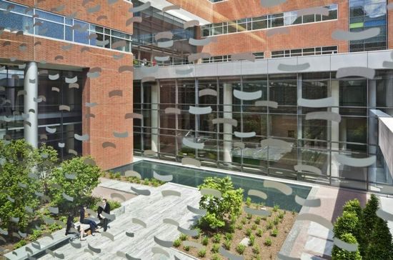 美国约翰斯·霍普金斯医院 - 视觉同盟(VisionU