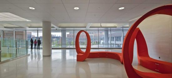 美国约翰斯·霍普金斯医院 - 视觉同盟(visionu