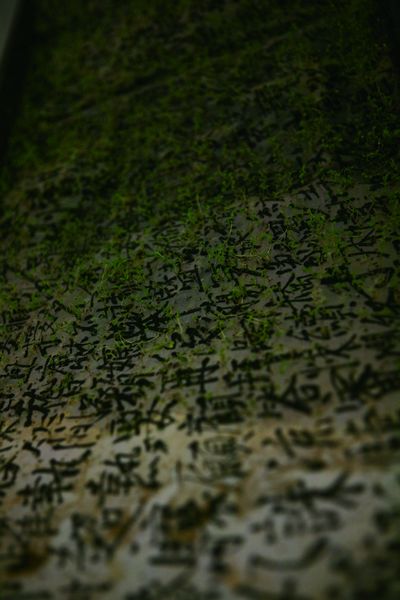 2012中国设计大展入选作品——草书 - 视觉同盟(VisionUnion.com)