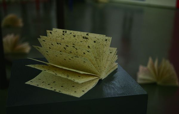 2012中国设计大展入选作品——草书 - 视觉同盟(VisionUnion.com)