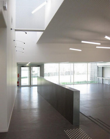 法国青年文化知识中心