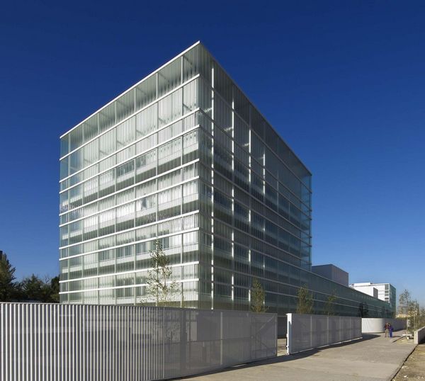 西班牙社会福利服务中心 - 视觉同盟(VisionUn