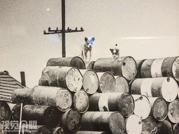 千里之行--中央美院2014届毕业生优秀作品展作