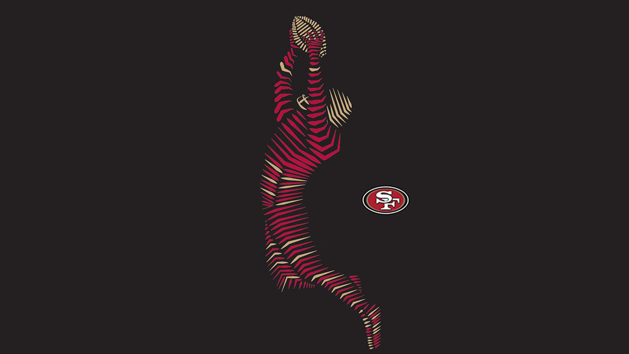 美国nflxfit视觉系统设计