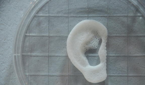 法国蓬皮杜大型3D打印主题展隆重闭幕(图9)